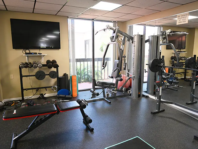 12 BDM II - InteriorGym